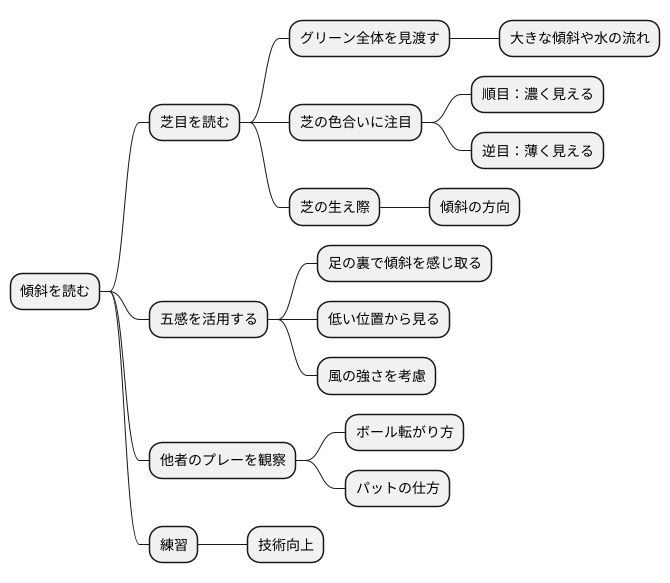 芝目の見方