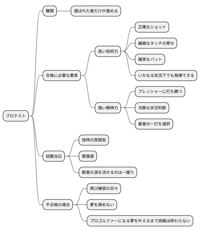 プロテストへの挑戦