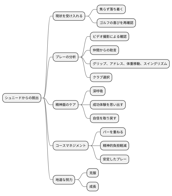 シュニードから脱出する方法